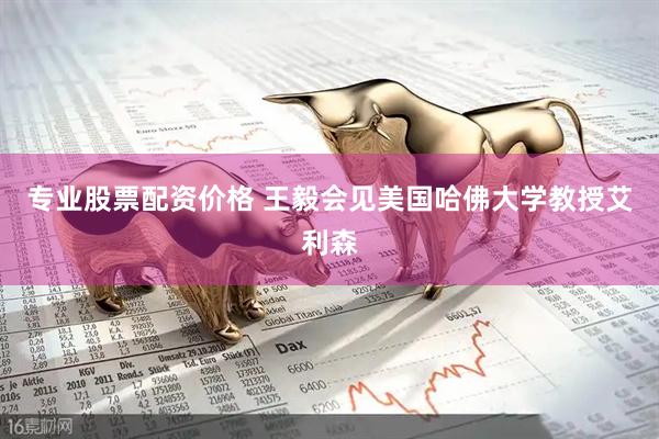 专业股票配资价格 王毅会见美国哈佛大学教授艾利森