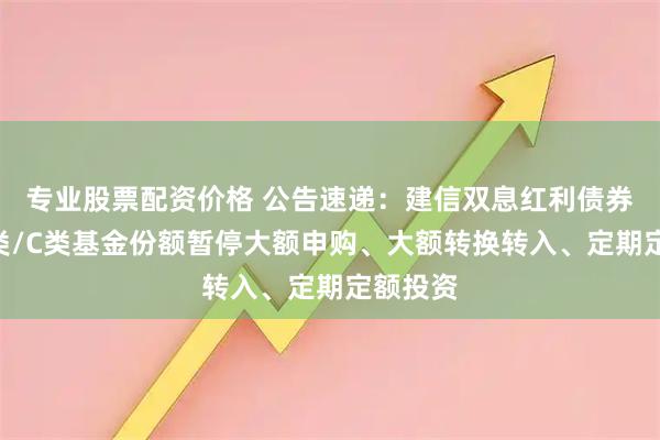 专业股票配资价格 公告速递：建信双息红利债券基金A类/C类基金份额暂停大额申购、大额转换转入、定期定额投资